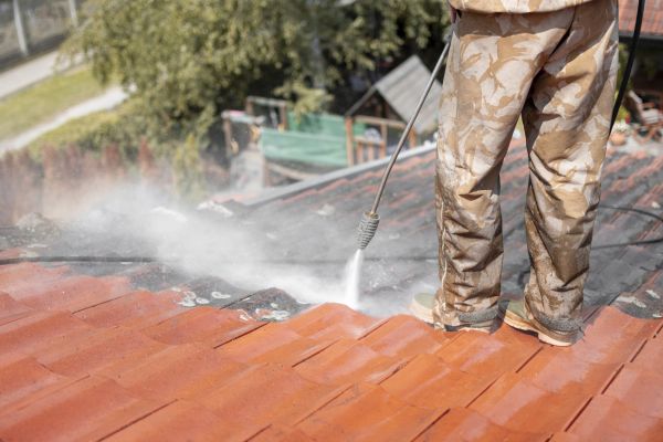 Roof Lichen Removal