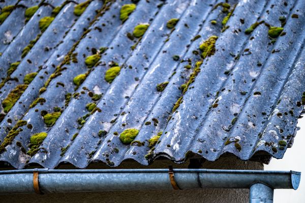 Roof Mildew Removal