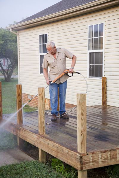 Deck Mold Cleaning